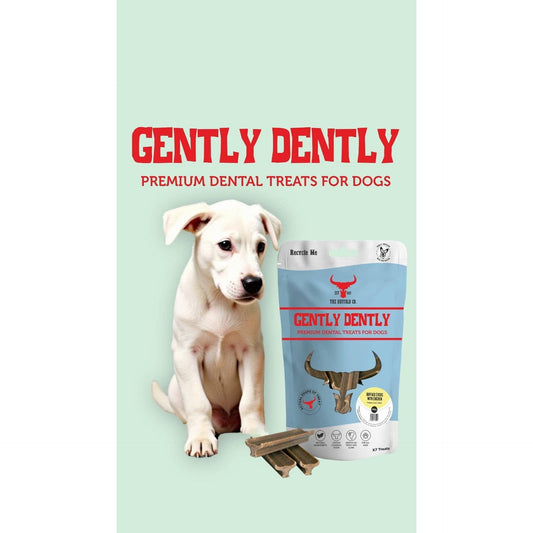 Gently Dently - Salmon Dental Treats for Dogs - Wild Paws and Claws