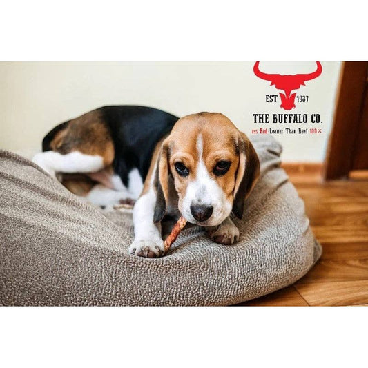 Buffalo Tail - Dog Treats - 200g - Wild Paws and Claws