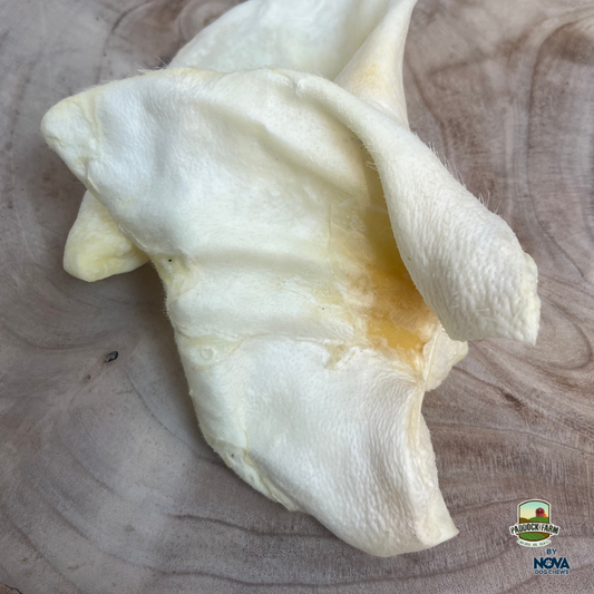Treat your dog to our XL Puffed Pig Ear! A low-fat, less-greasy alternative to traditional pig ears.