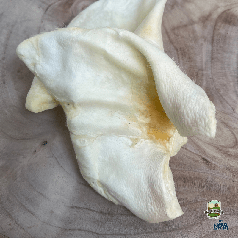 Treat your dog to our XL Puffed Pig Ear! A low-fat, less-greasy alternative to traditional pig ears.