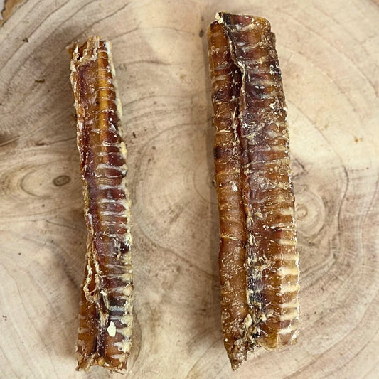 Beef Trachea - 24cm - Natural Treat - Wild Paws and Claws