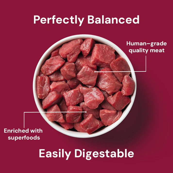 Nutriment - Raw - Cat - Beef - 500g