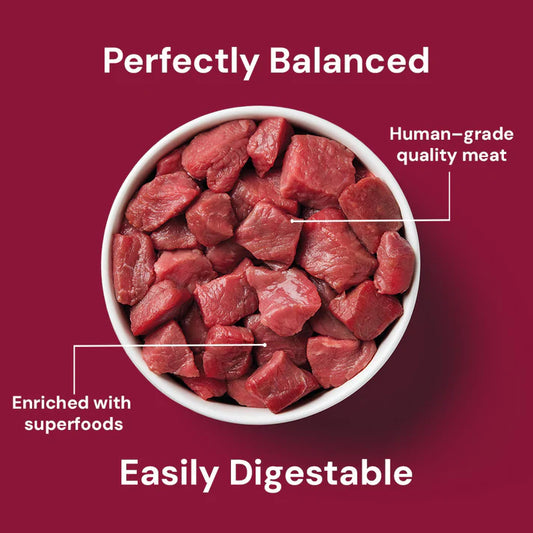 Nutriment - Raw - Cat - Beef - 500g