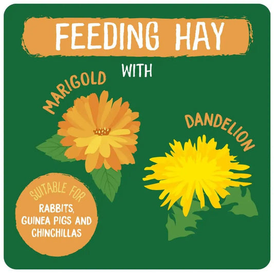 Excel Feeding Hay with Dandelion & Marigold - 1KG - Wild Paws and Claws
