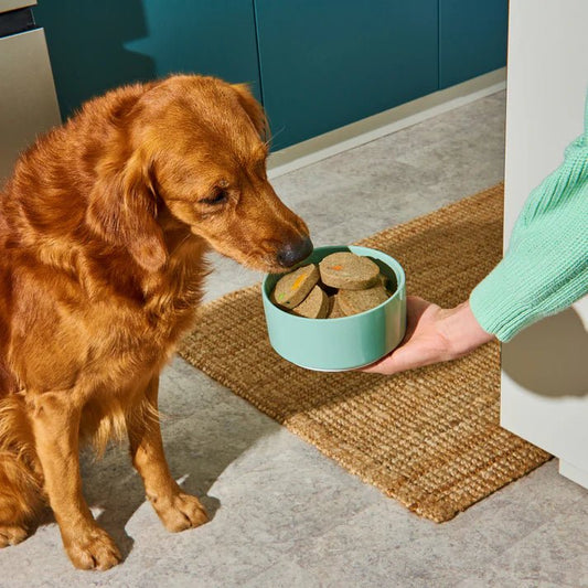 Nutriment Gently Cooked Lamb Medallions – Fresh, Human-Grade Nutrition - Wild Paws and Claws