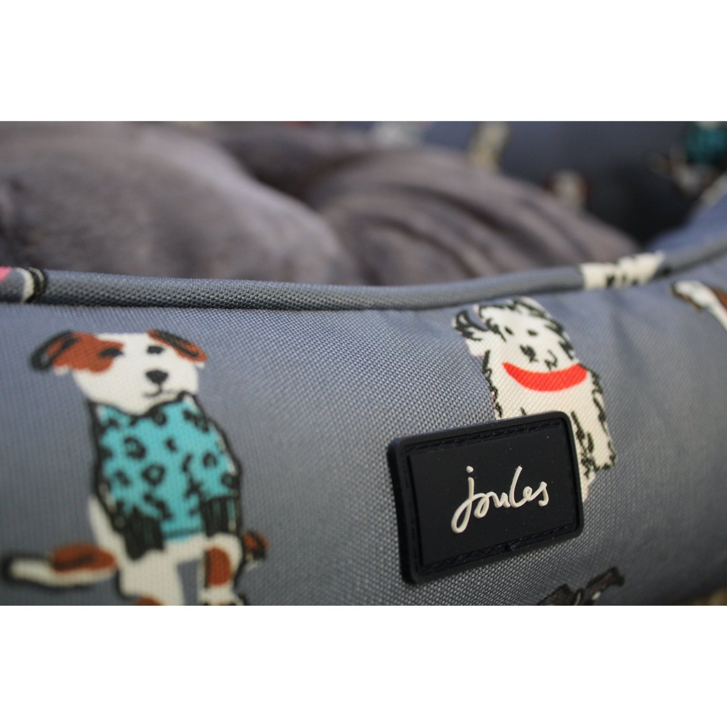 JOULES MEDIUM PET BED - Wild Paws and Claws