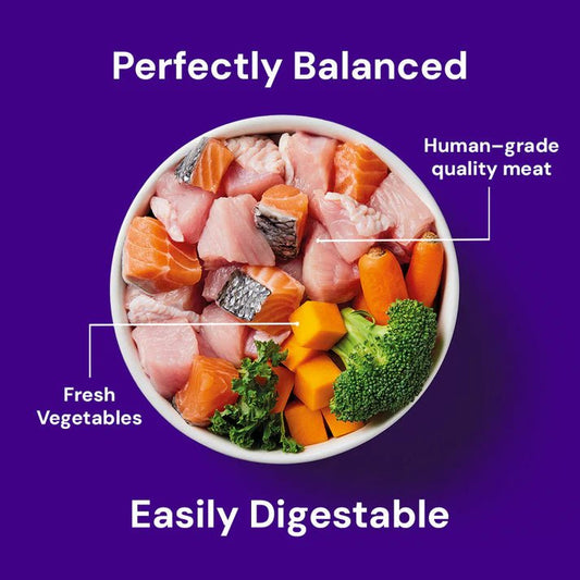Nutriment - Adult - Raw Salmon & Turkey - Wild Paws and Claws