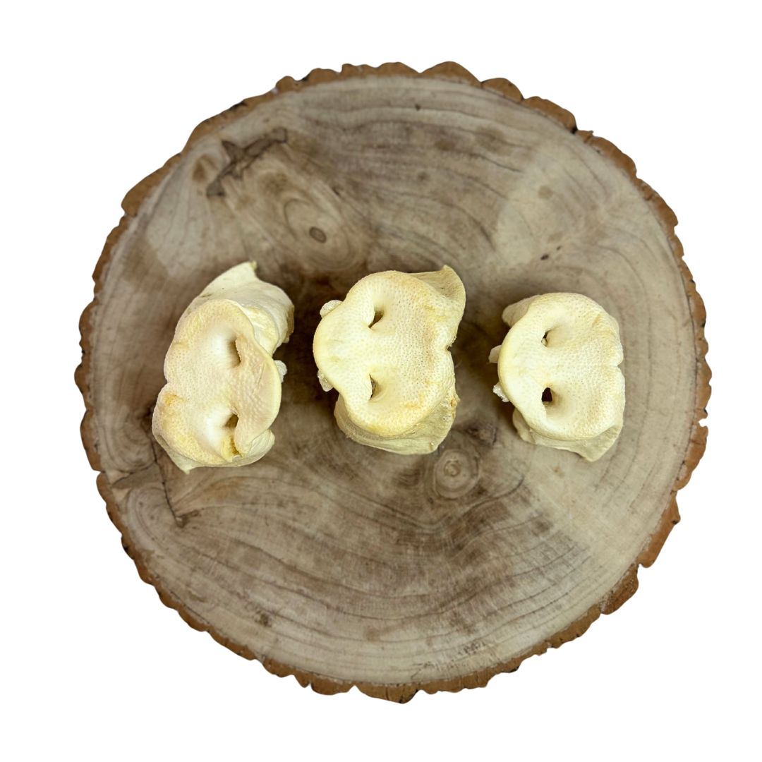 Puffed Pig Snout