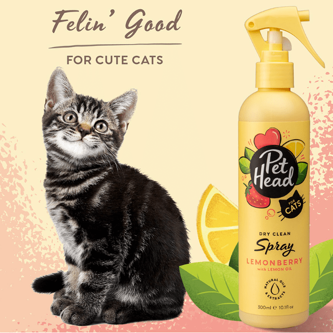 PET HEAD DRY CLEAN SPRAY FOR CATS - Wild Paws and Claws