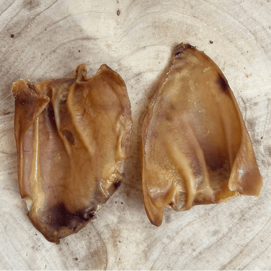 MEDIUM PIG EAR - 1 PIECE - Wild Paws and Claws