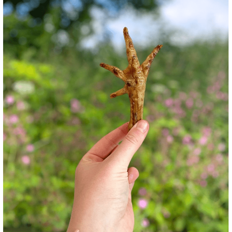 CHICKEN FEET - 400G - Wild Paws and Claws