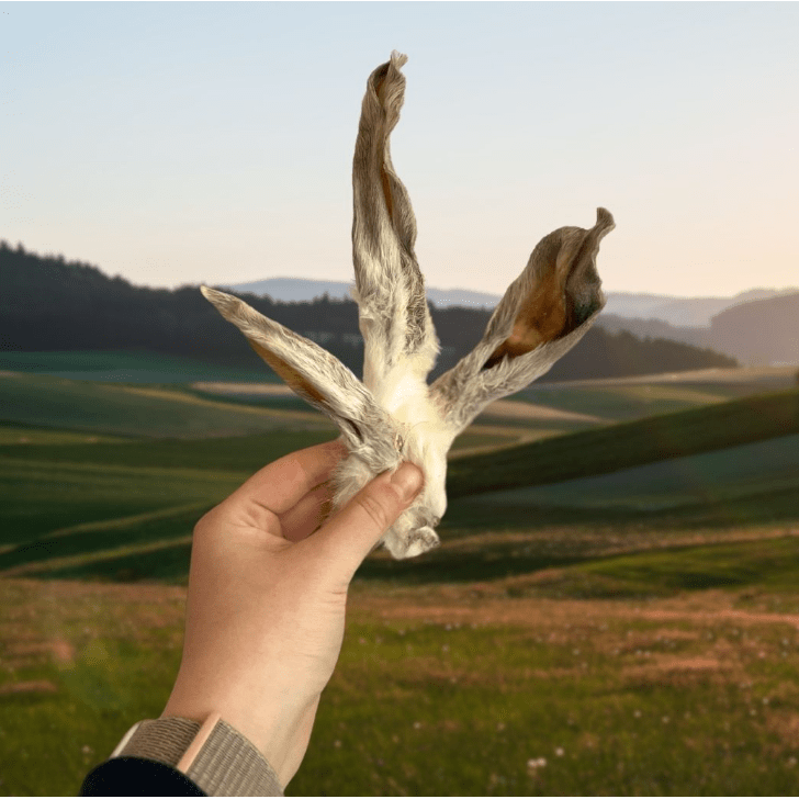 HAIRY RABBIT EARS - 200G - Wild Paws and Claws