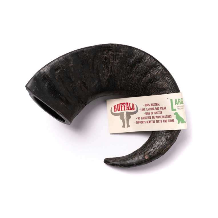 BUFFALO HORN - Wild Paws and Claws