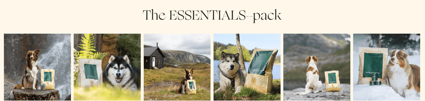 ESSENTIAL SUPERIOR LIVING - 10KG (WORKING DOG) - Wild Paws and Claws