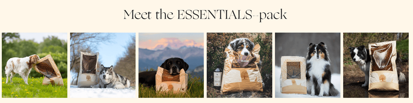 ESSENTIAL OLDER - 10KG (WORKING DOG) - Wild Paws and Claws