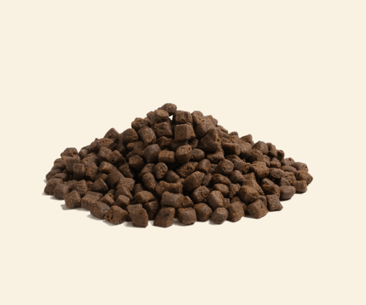 ESSENTIAL THE BEGINNING - 2.5KG PUPPY - Wild Paws and Claws