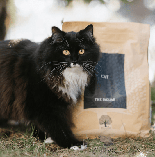 ESSENTIAL THE JAGUAR - 1.5KG CAT FOOD - Wild Paws and Claws
