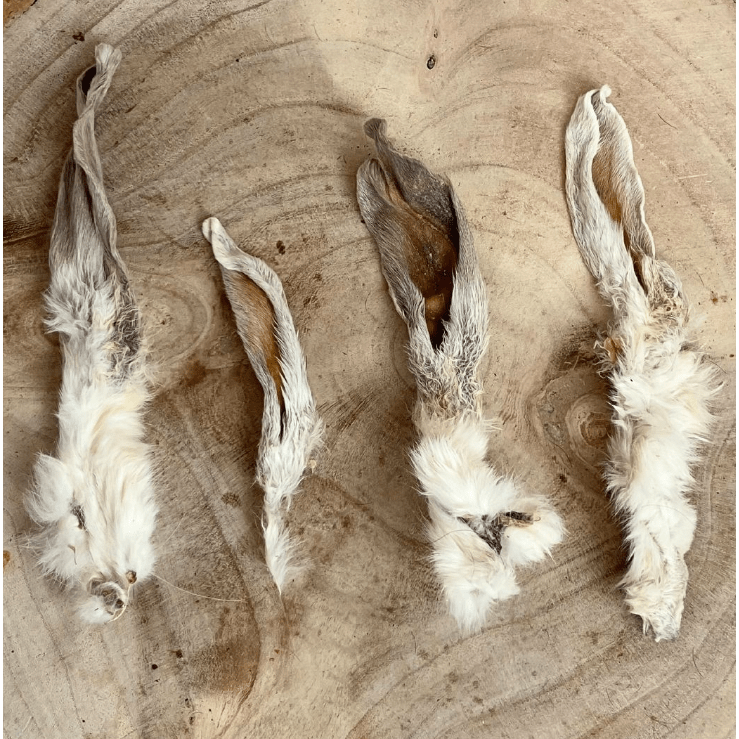 HAIRY RABBIT EARS - 500G - Wild Paws and Claws