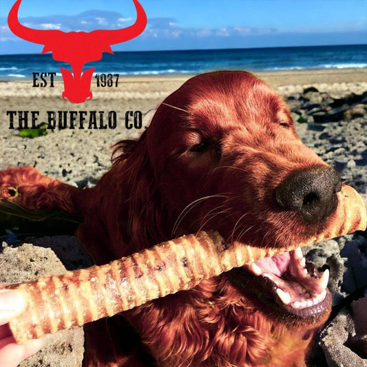 Buffalo Trachea Rounds - Dog Treats - 100g - Wild Paws and Claws