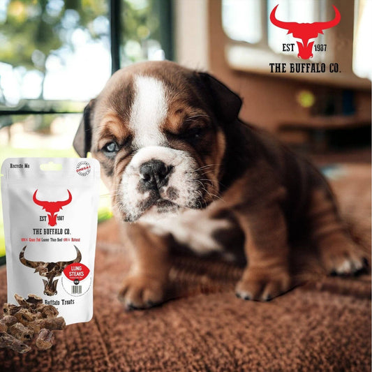 Buffalo Lung Steaks - Dog Treats - 100g - Wild Paws and Claws