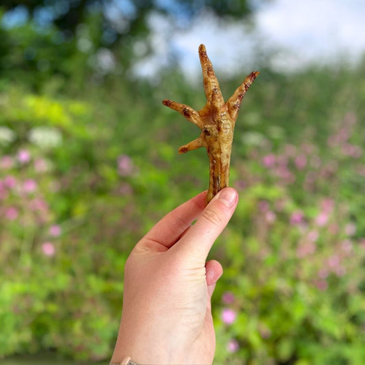 Chicken Feet - Wild Paws and Claws