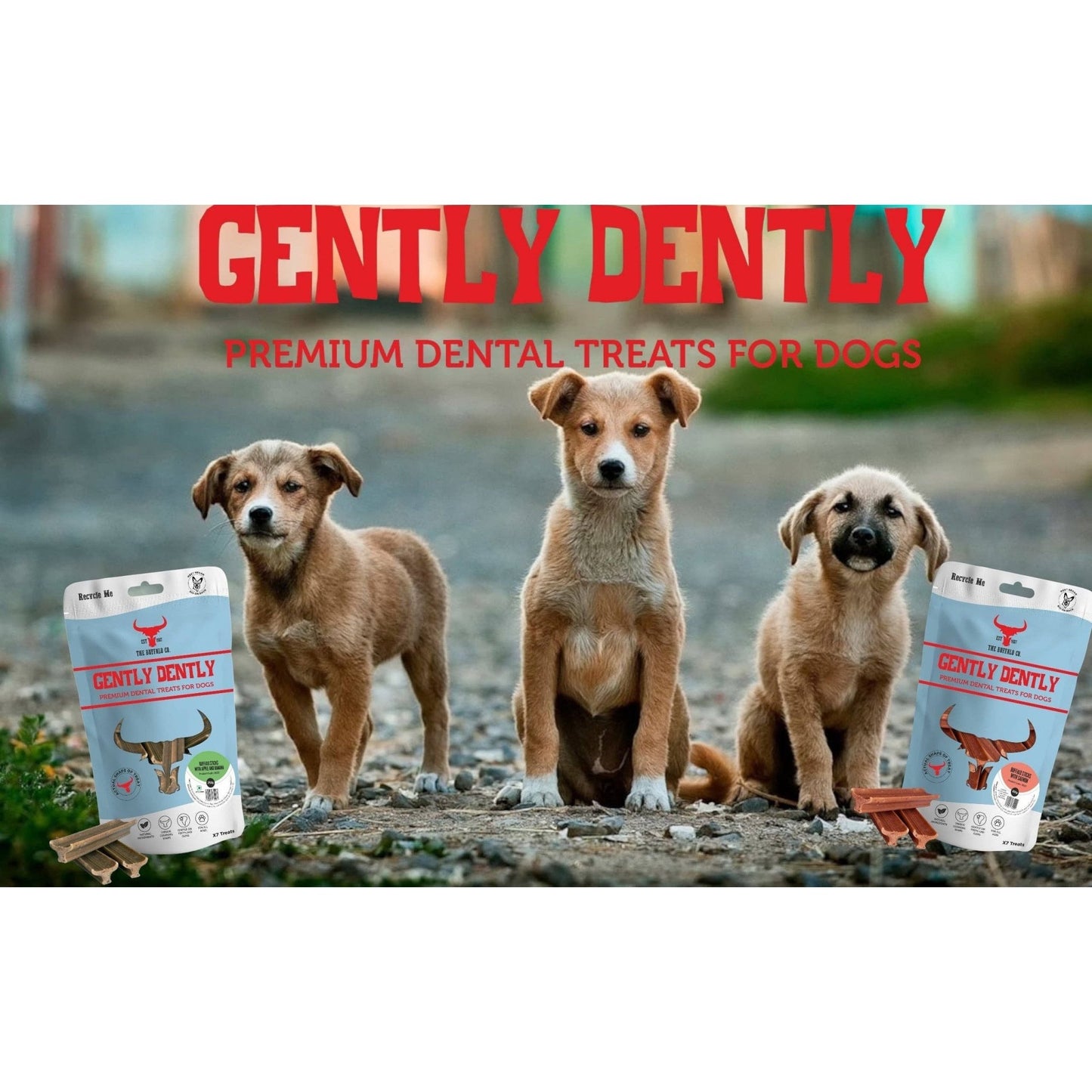 Gently Dently - Salmon Dental Treats for Dogs - Wild Paws and Claws