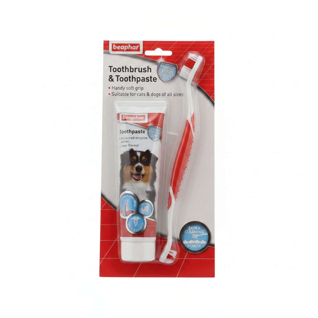 BEAPHAR DENTAL TOOTHBRUSH AND PASTE SET - Wild Paws and Claws