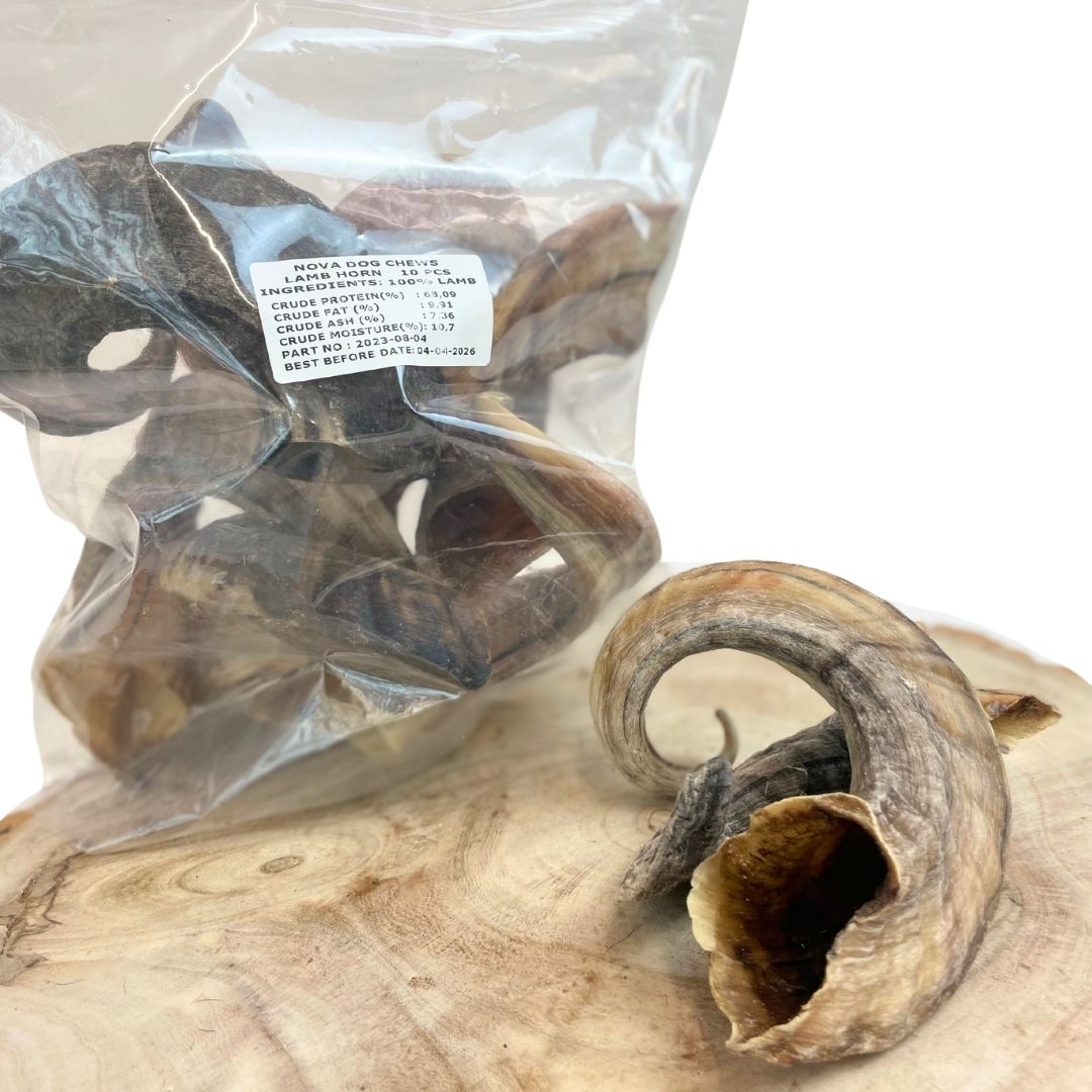 Lamb horn