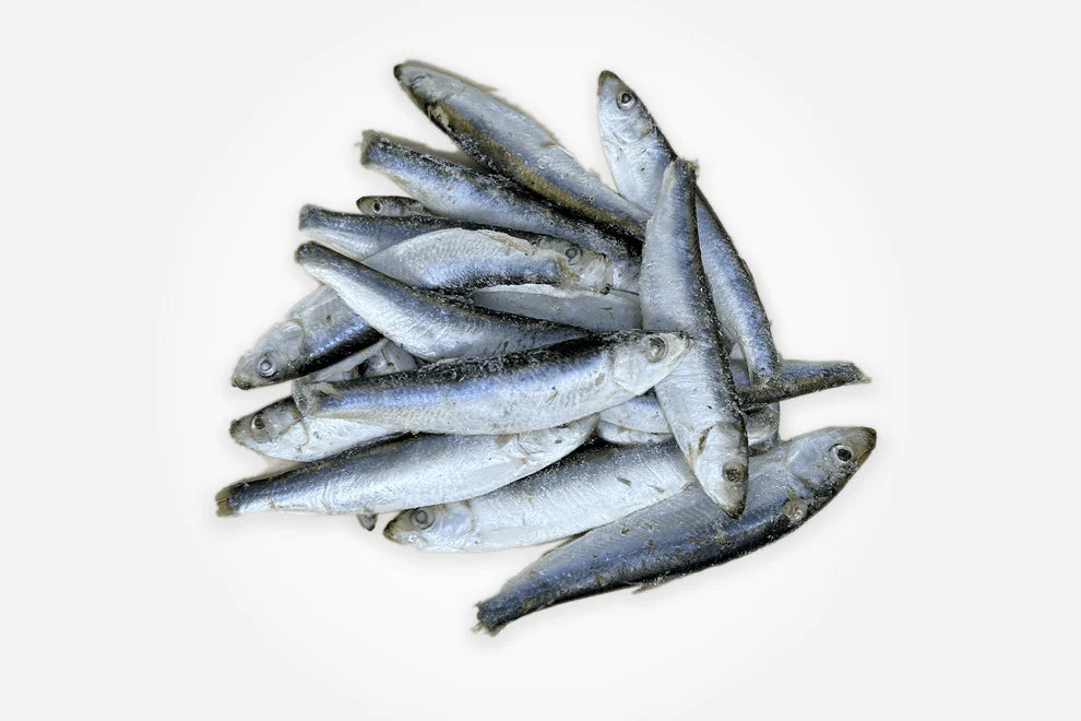 Mersey raw - Frozen - Sprats 1kg