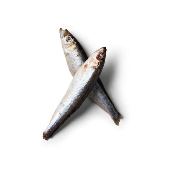 Mersey raw - Frozen - Sprats 1kg - Wild Paws and Claws