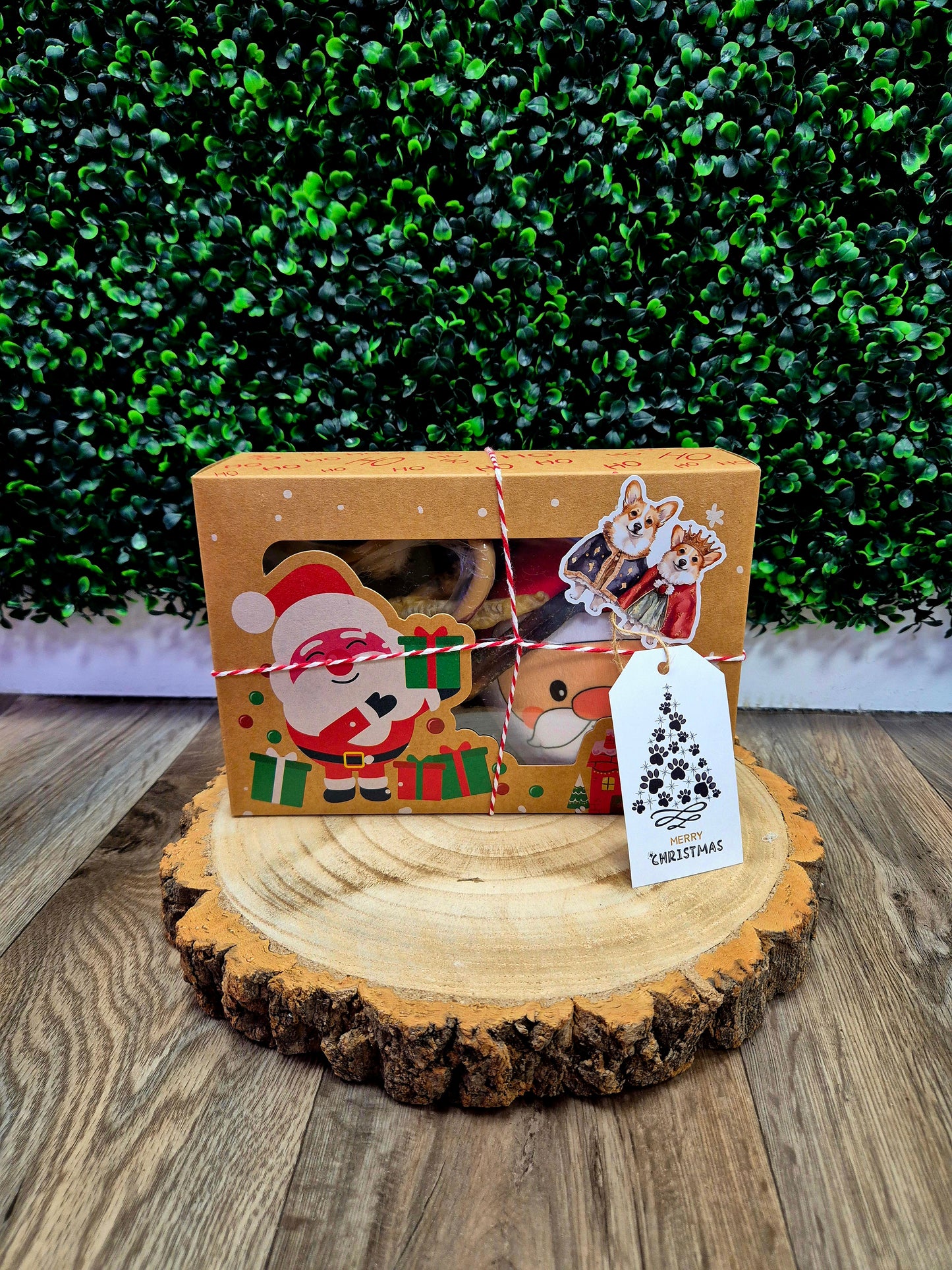 Santa paws box - Dog