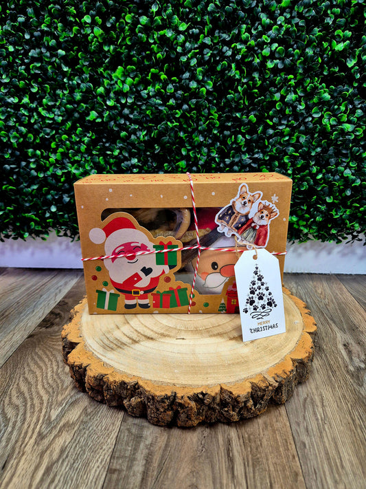 Santa paws box - Dog