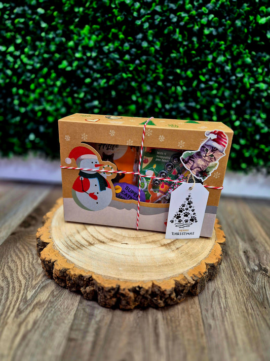 Santa paws box - Cat
