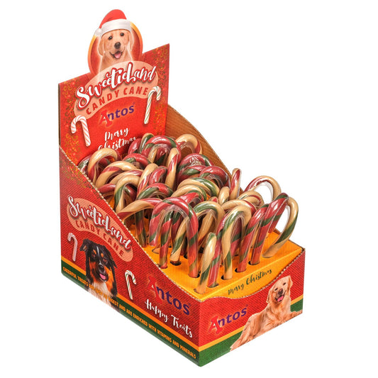 Christmas candy cane