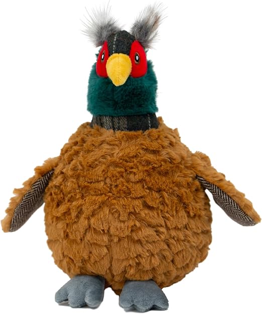 Ancol Pheasant Toy for Dogs