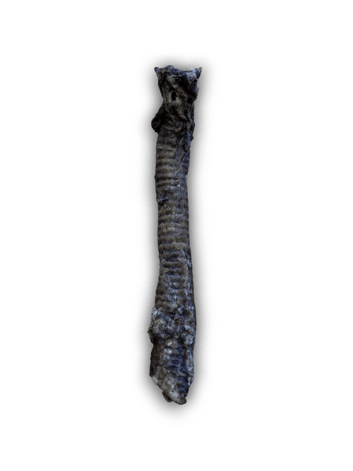 Goat Tube - Wild Paws and Claws