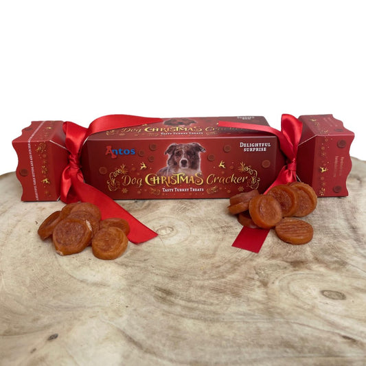 Christmas cracker for dogs