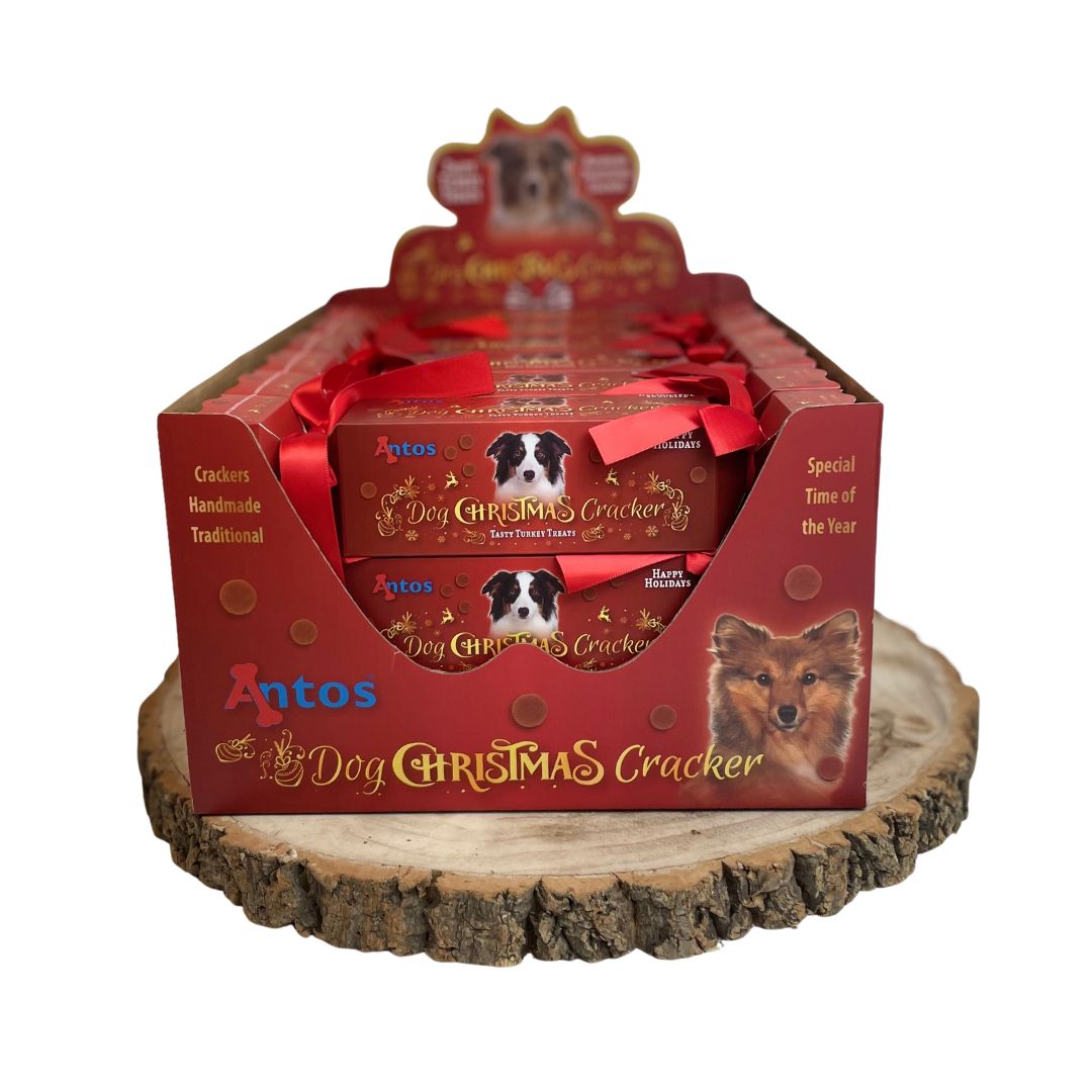 Christmas cracker for dogs