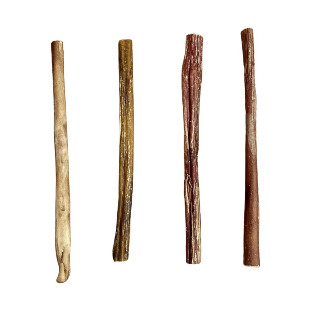 Bull Pizzle 24cm – 100% Natural Beef Chew
