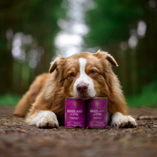 Highland living | Premium Wet Food (400g Tin)