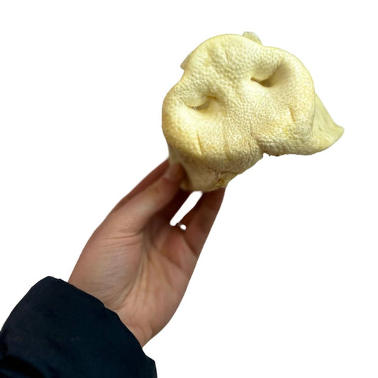 Puffed Pig Snout