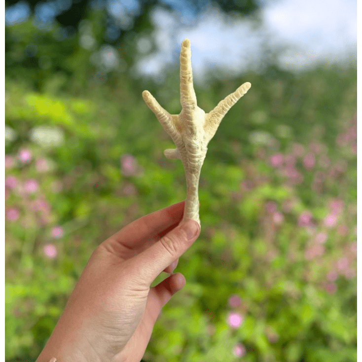 Chicken Feet Puffed 1kg - Wild Paws and Claws