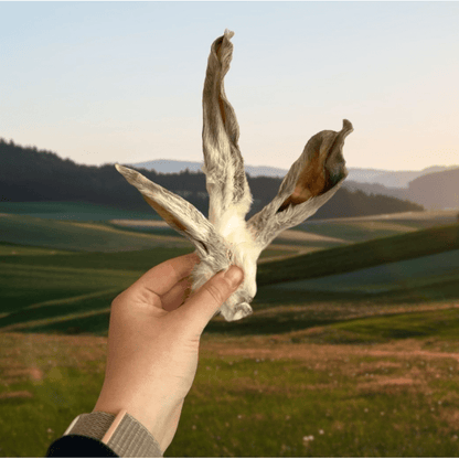 HAIRY RABBIT EARS - 200G - Wild Paws and Claws
