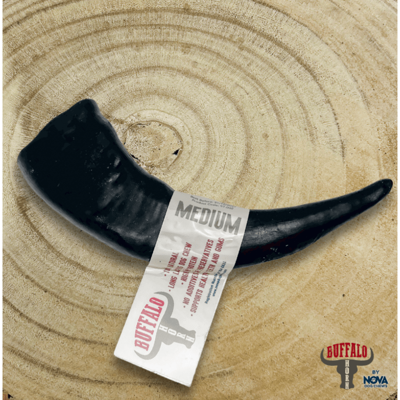 BUFFALO HORN - Wild Paws and Claws