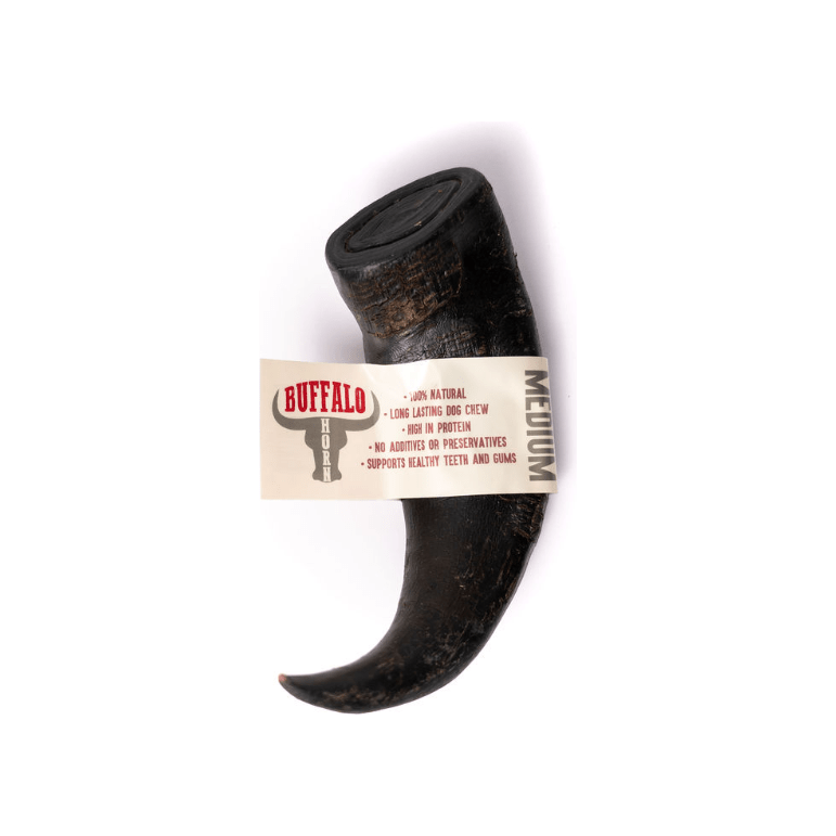 BUFFALO HORN - Wild Paws and Claws