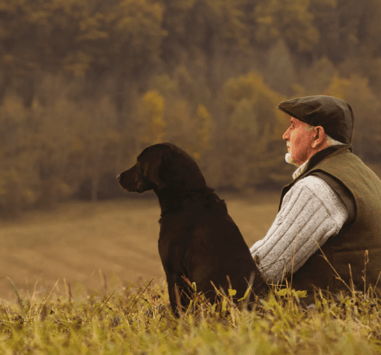 ESSENTIAL OLDER - 10KG (WORKING DOG) - Wild Paws and Claws