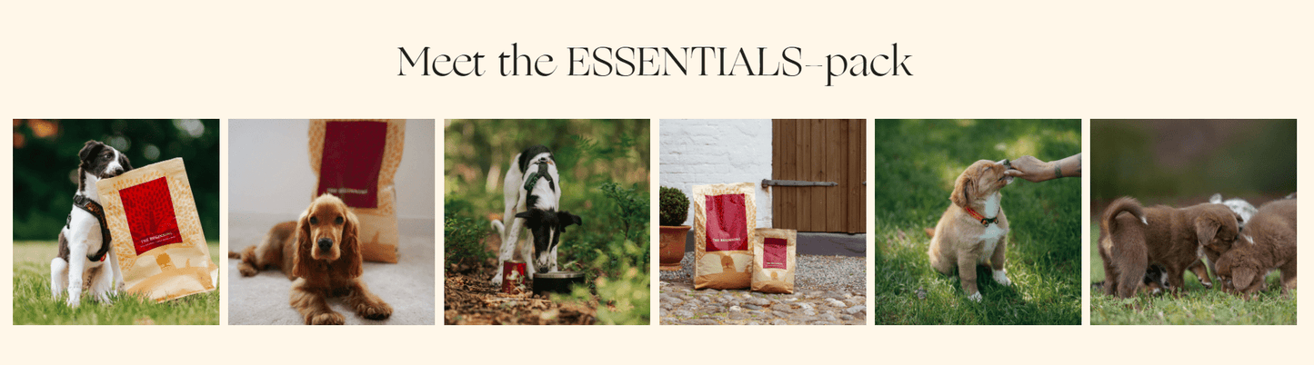 ESSENTIAL THE BEGINNING - 2.5KG PUPPY - Wild Paws and Claws