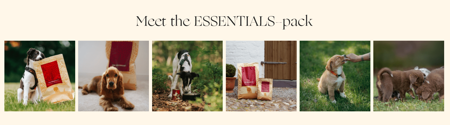 ESSENTIAL THE BEGINNING - 2.5KG PUPPY - Wild Paws and Claws