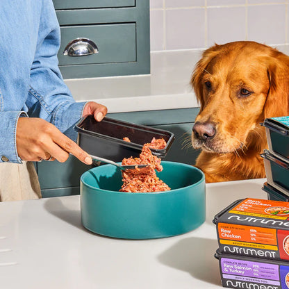 Nutriment - Adult - Raw Duck