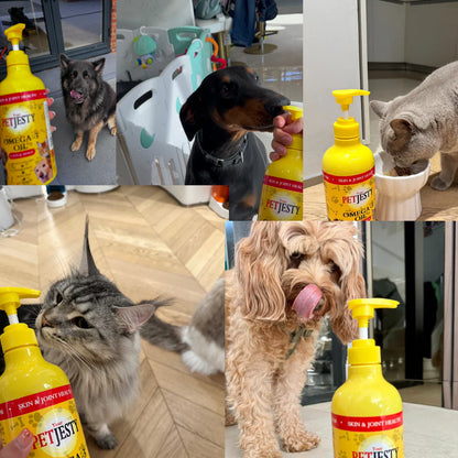 Your Petjesty - Omega 3 Algae oil